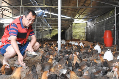 从营销服务到“第一书记”养殖与销售 产业融合的新路径